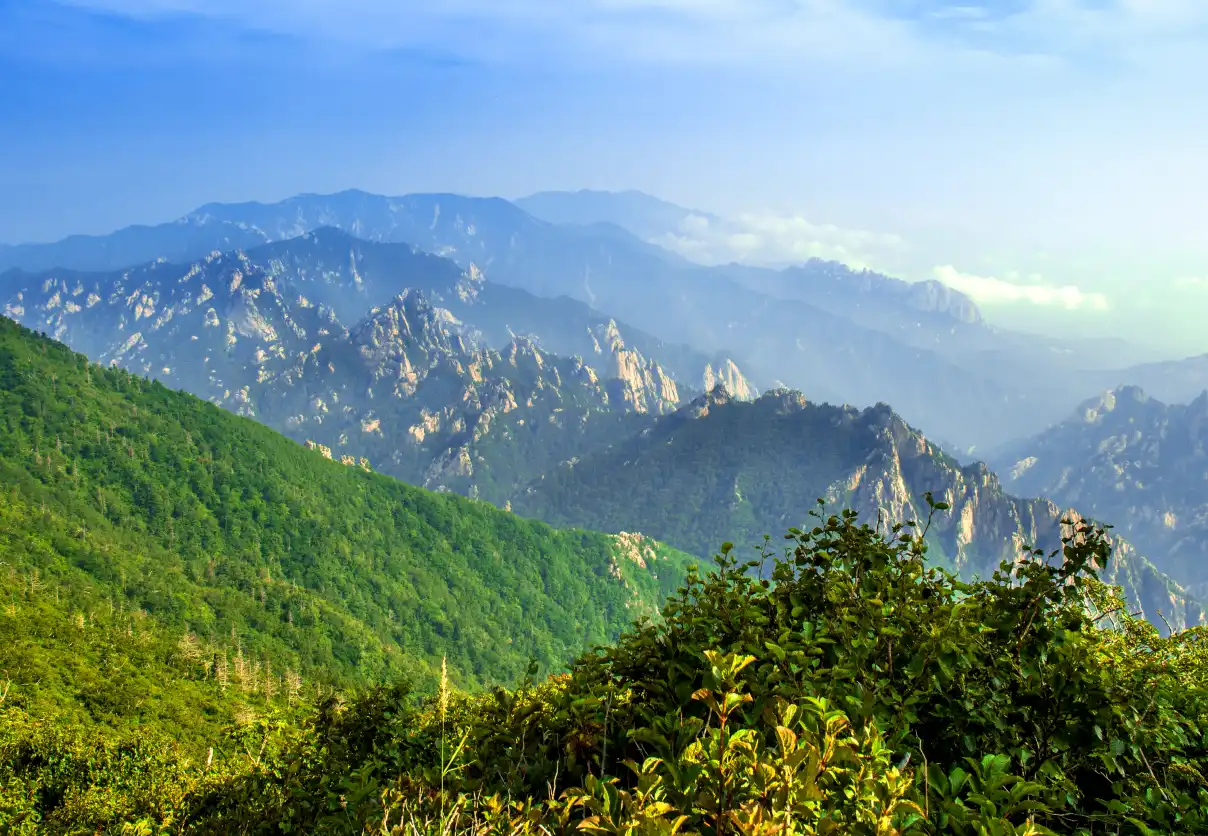 Manali Kasol  Sissu Tour Package