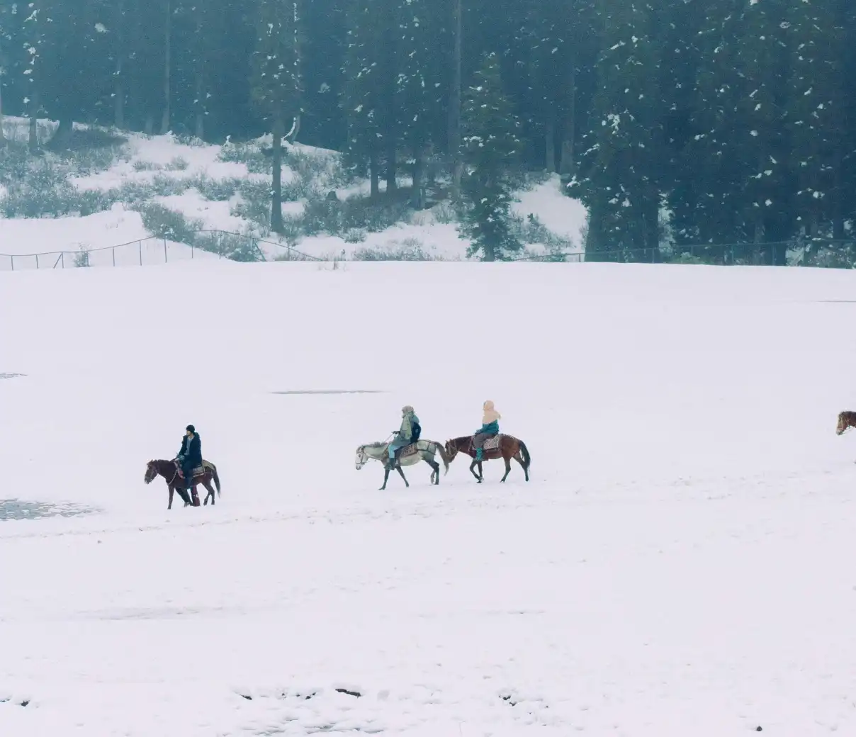 Winter Kashmir - X'Mas & New Year