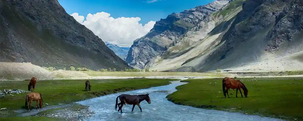 Travel Hacks for the route of Ladakh