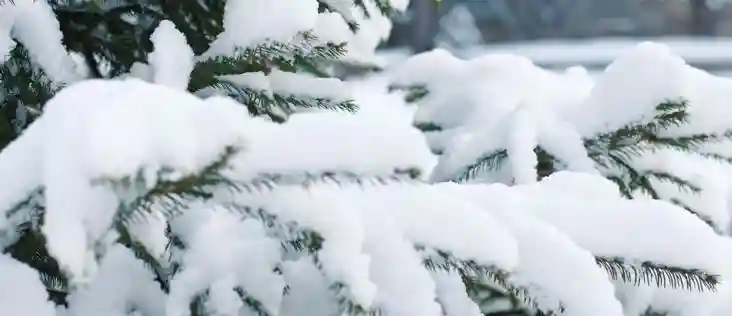 Best place to celebrate New Year in Himachal